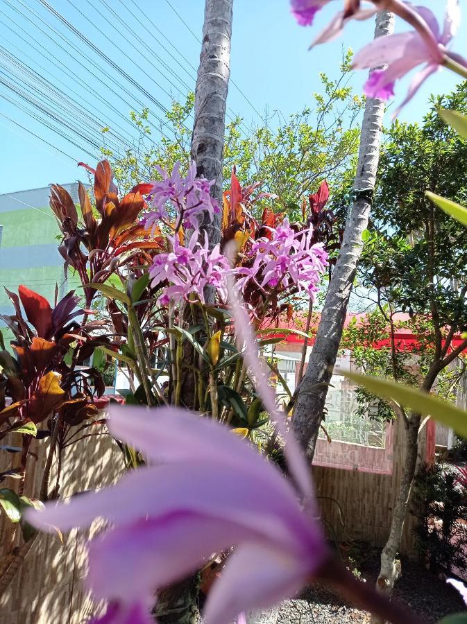 Pousada นาเวกังชิส ภายนอก รูปภาพ
